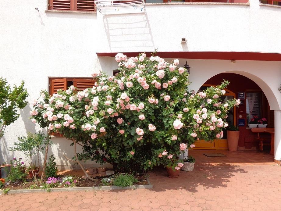 Apartmani Adrijan Krk Krk Town Exterior foto